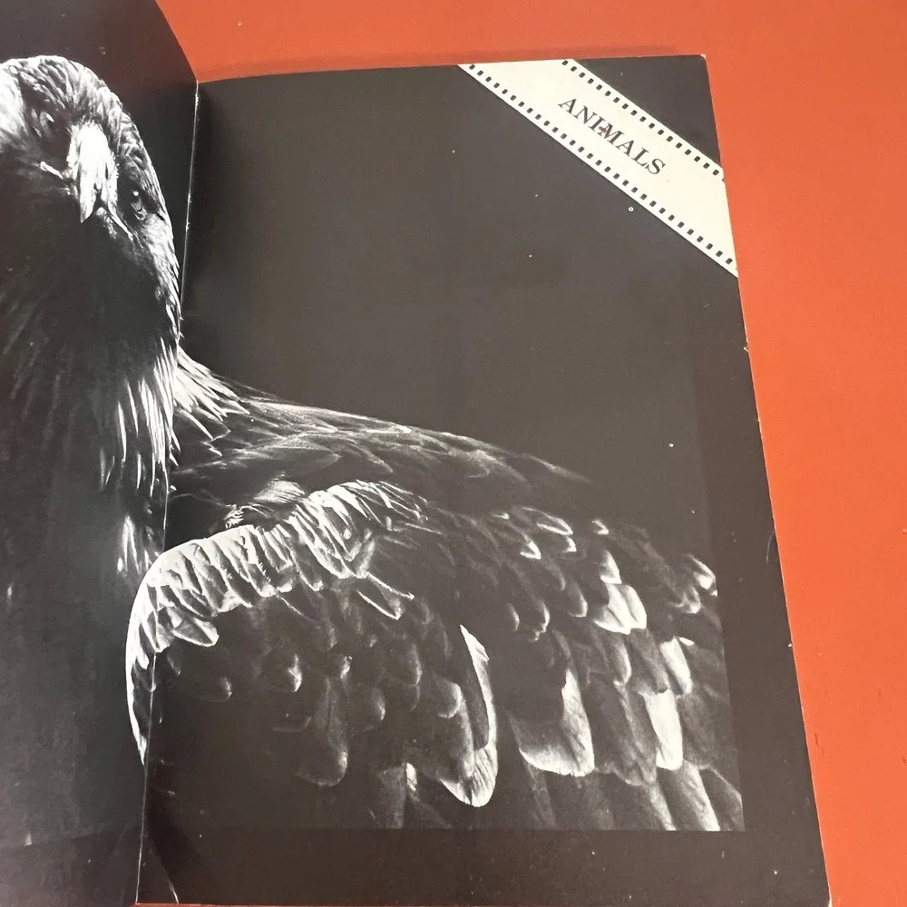 The 35mm Photographer's Handbook Julian Calder John Garrett 1979 First Edition